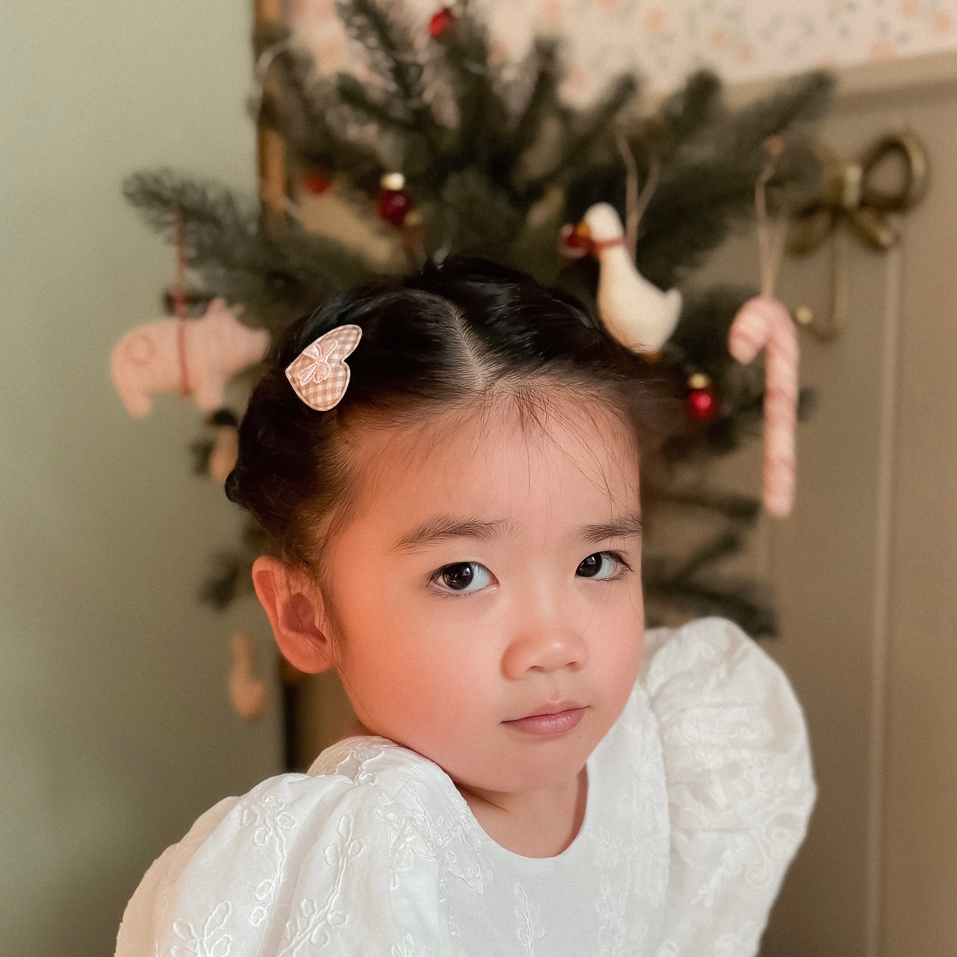 Snap Clips | Sweet Gingerbread Set