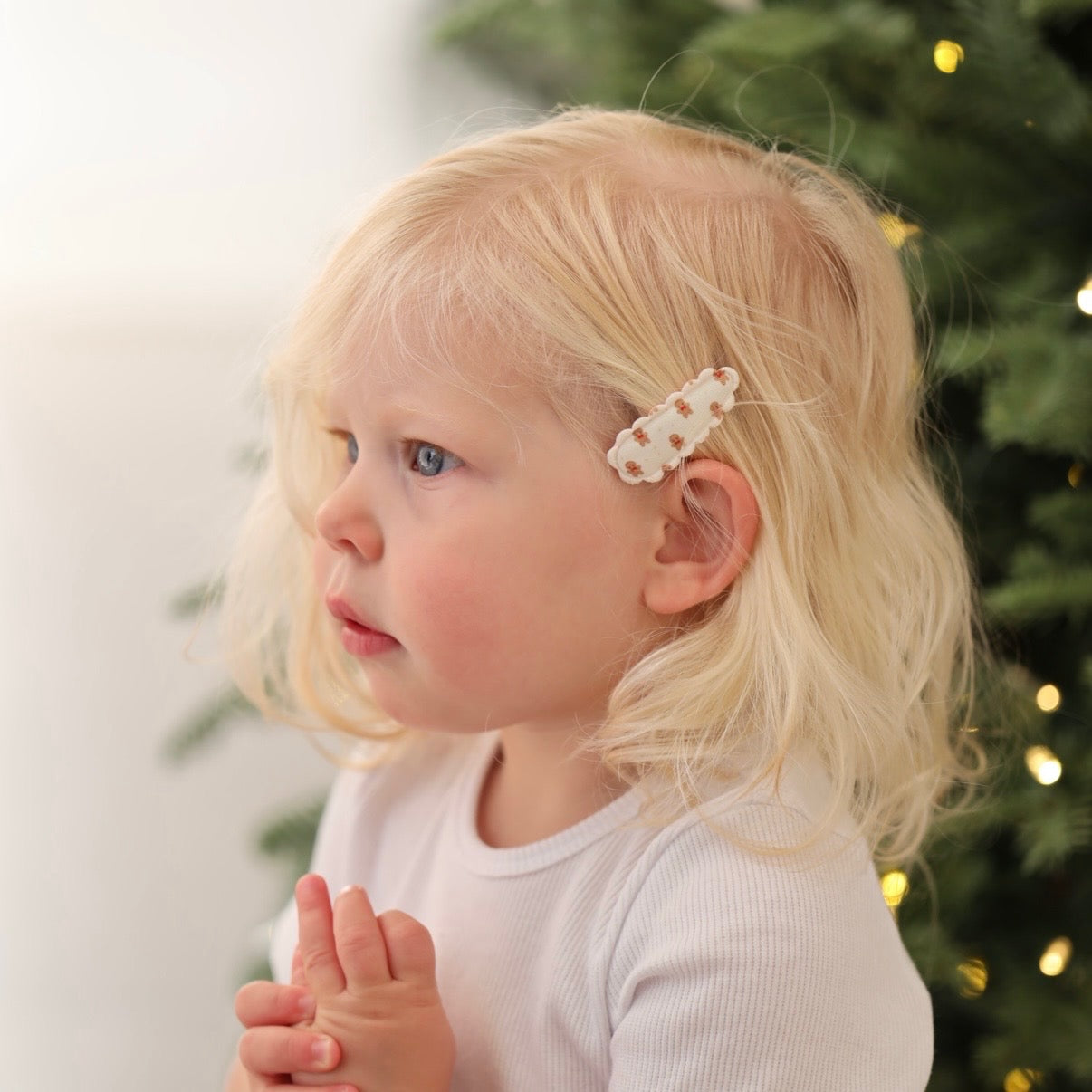 Snap Clips | Sweet Gingerbread Set
